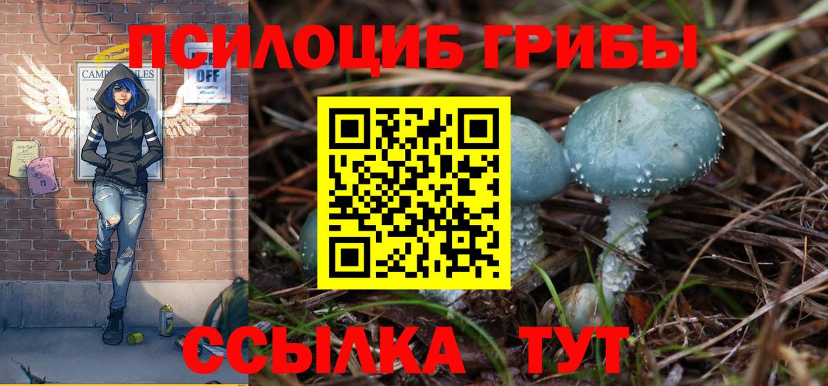 Псилоцибиновые грибы прущие грибы Рославль